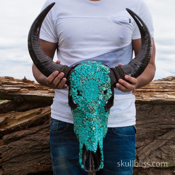 buffalo_skull_-_turquoise_stone_3