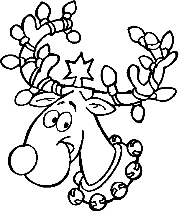 reindeer12