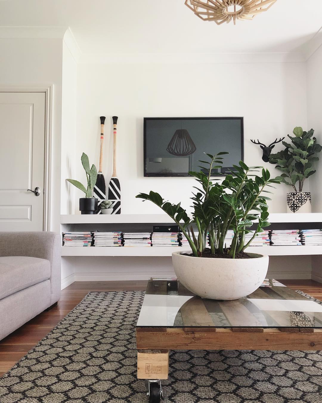 Plants For Your Coffee Table
